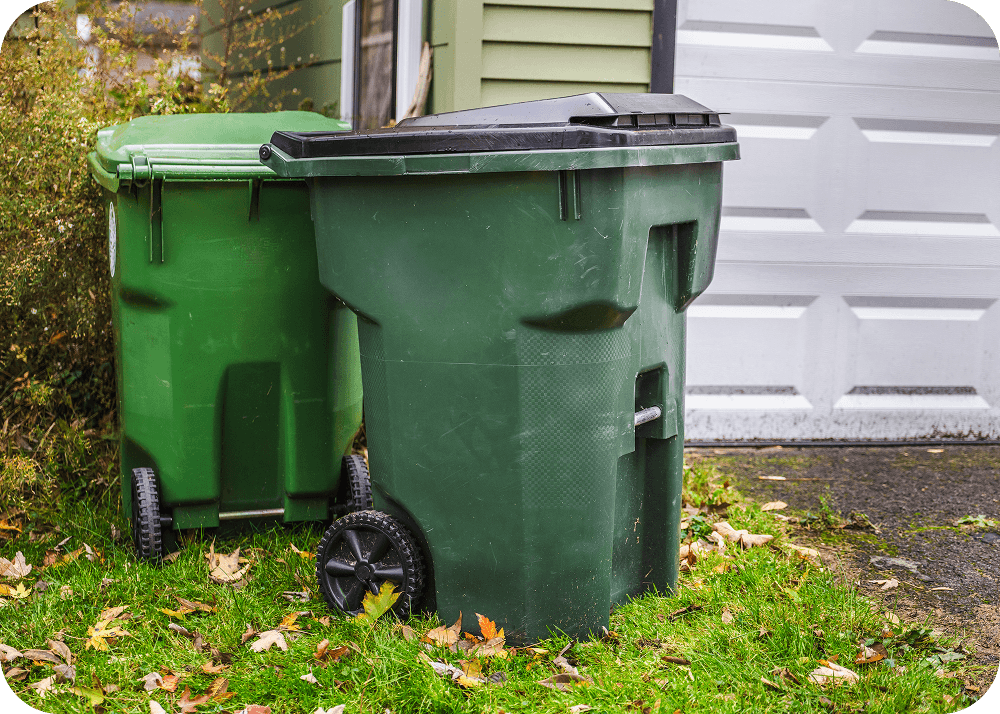 Outdoor recycling and trash bins in yard